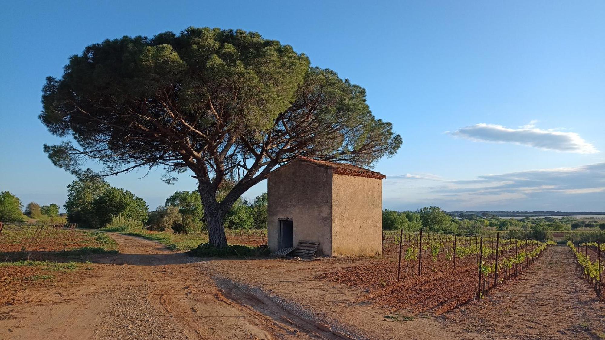 Villa Pays D'Oc Béziers Esterno foto